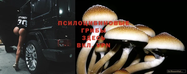 ALPHA PVP Алексин