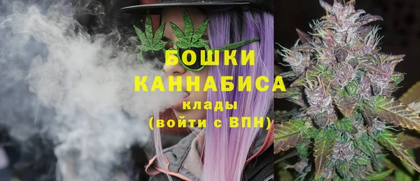 ALPHA PVP Алексин