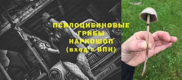 Альфа ПВП Алзамай
