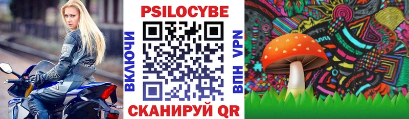 Купить где  Находка  Галлюциногенные грибы мицелий 